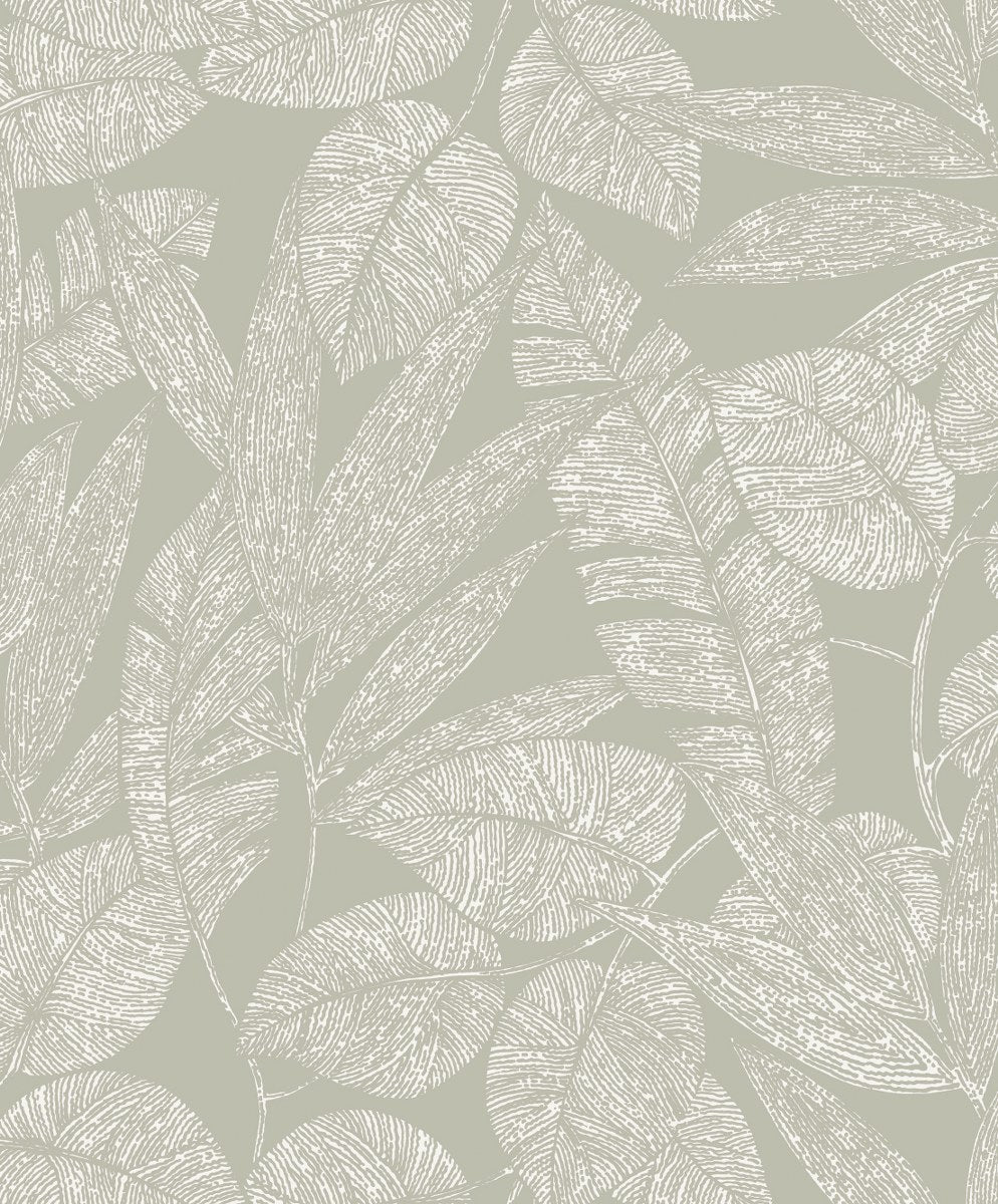 Omura - Lorena Imotif