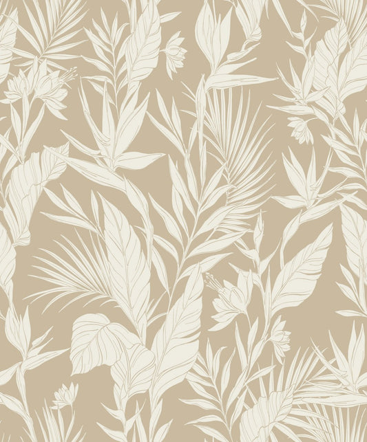 Omura - Lucia Forest